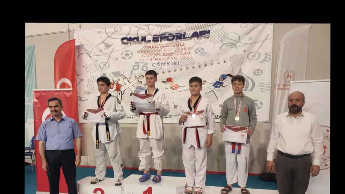 Teakwondo Küçükler Türkiye Şampiyonası